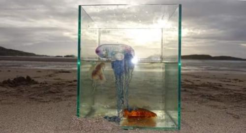 Blackwash [working title] 